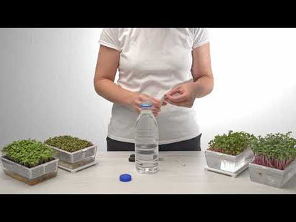 EVA S - Kit di coltivazione con cocco